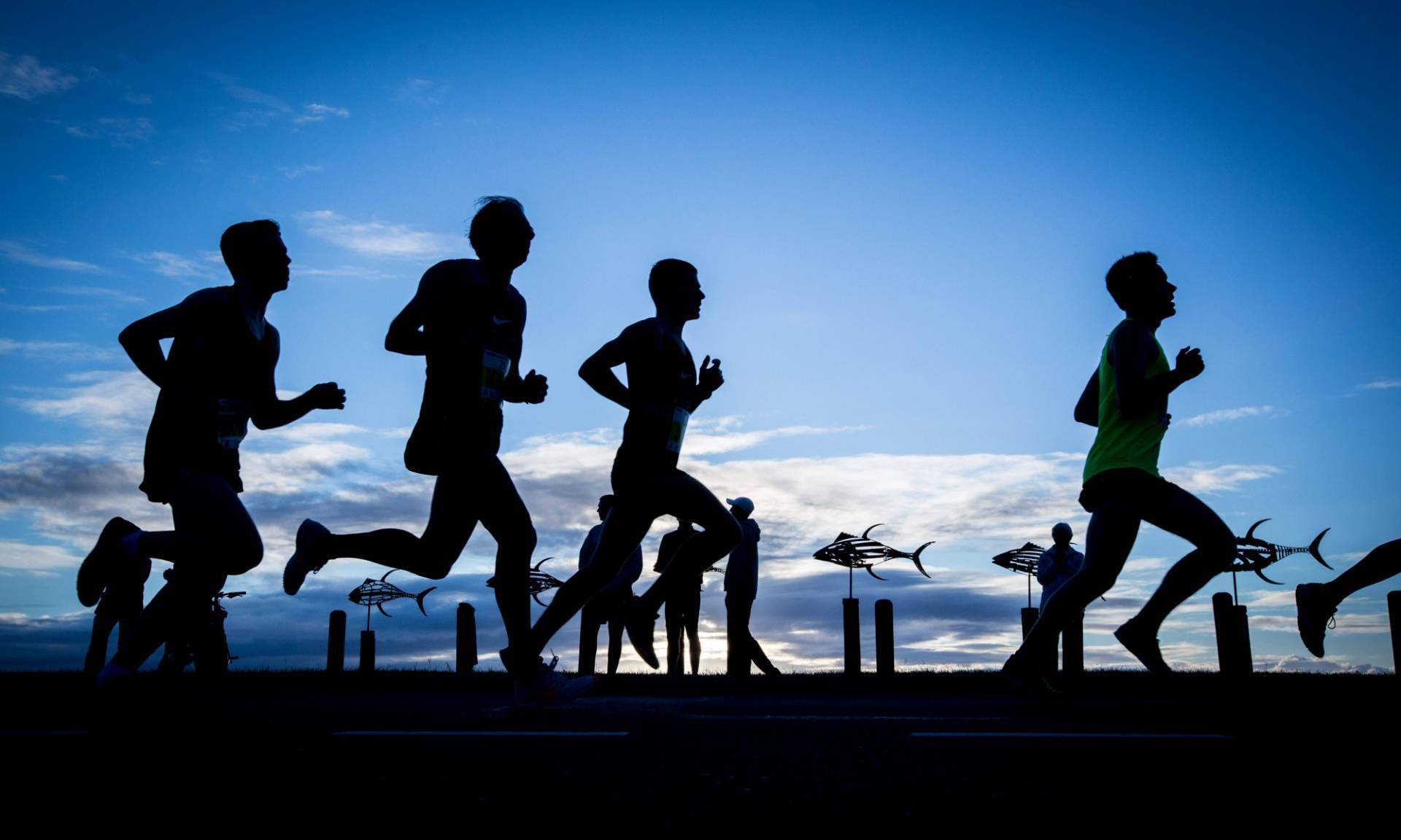 极希社谈“能量管理”：为什么你学了一堆方法，还是使不上劲？插图